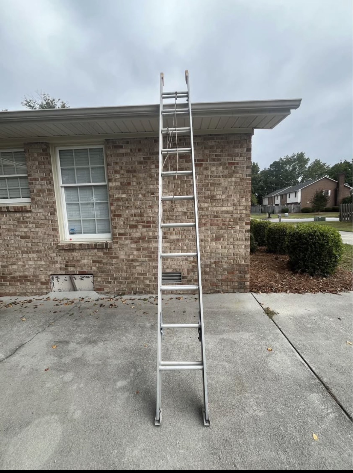 Ladders available for rent in Greenville, NC