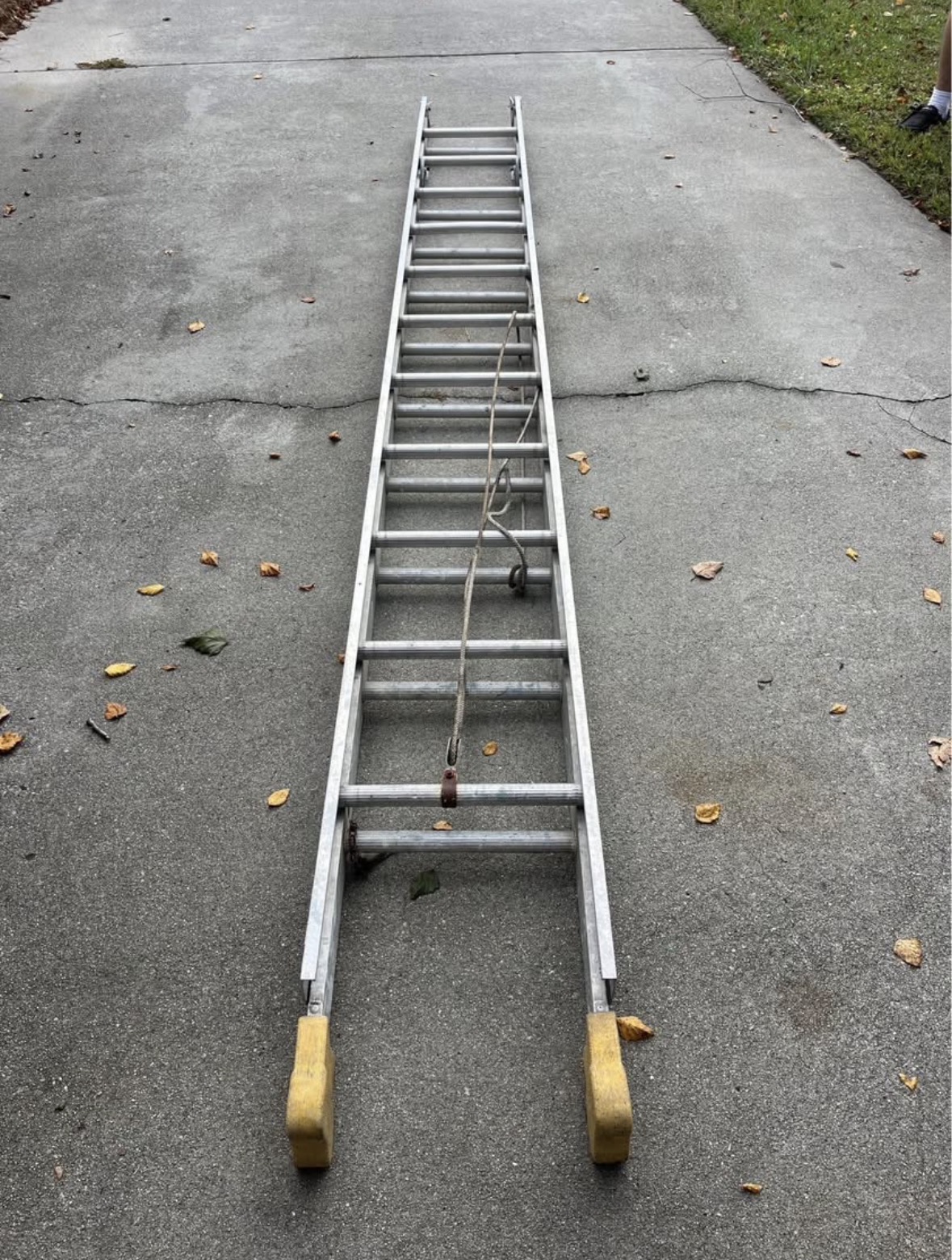 Extension ladder laid out, fully extended